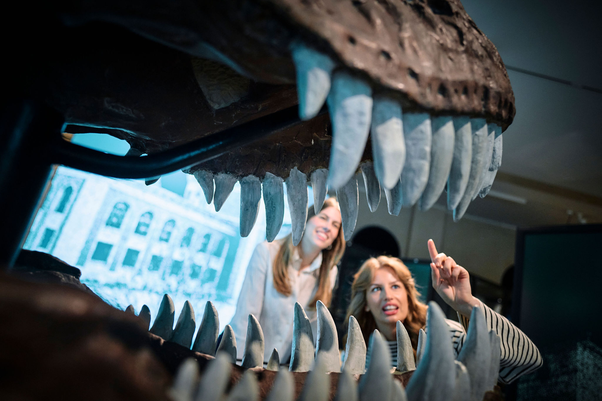 200 år Universitetsmuseet i Bergen – Torden og Lynild