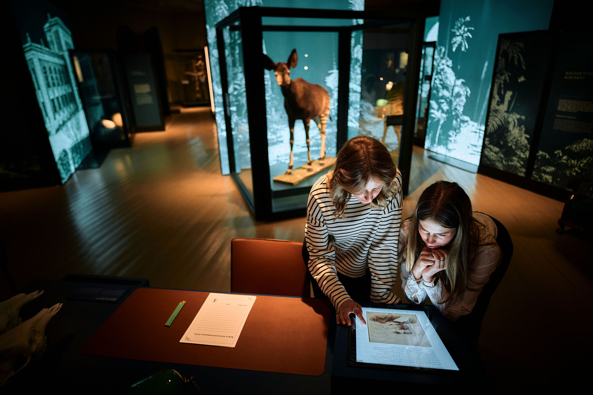 200 år Universitetsmuseet i Bergen – Torden og Lynild