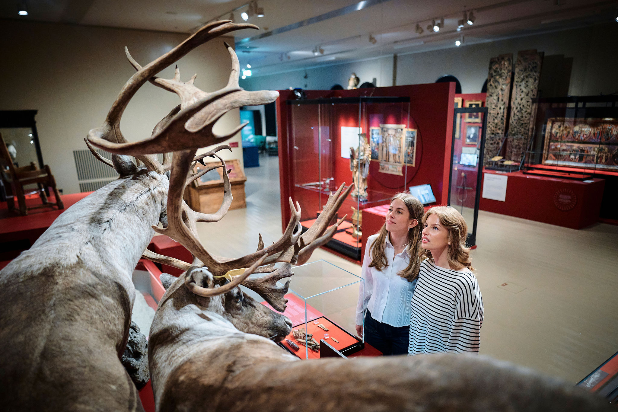 200 år Universitetsmuseet i Bergen – Torden og Lynild