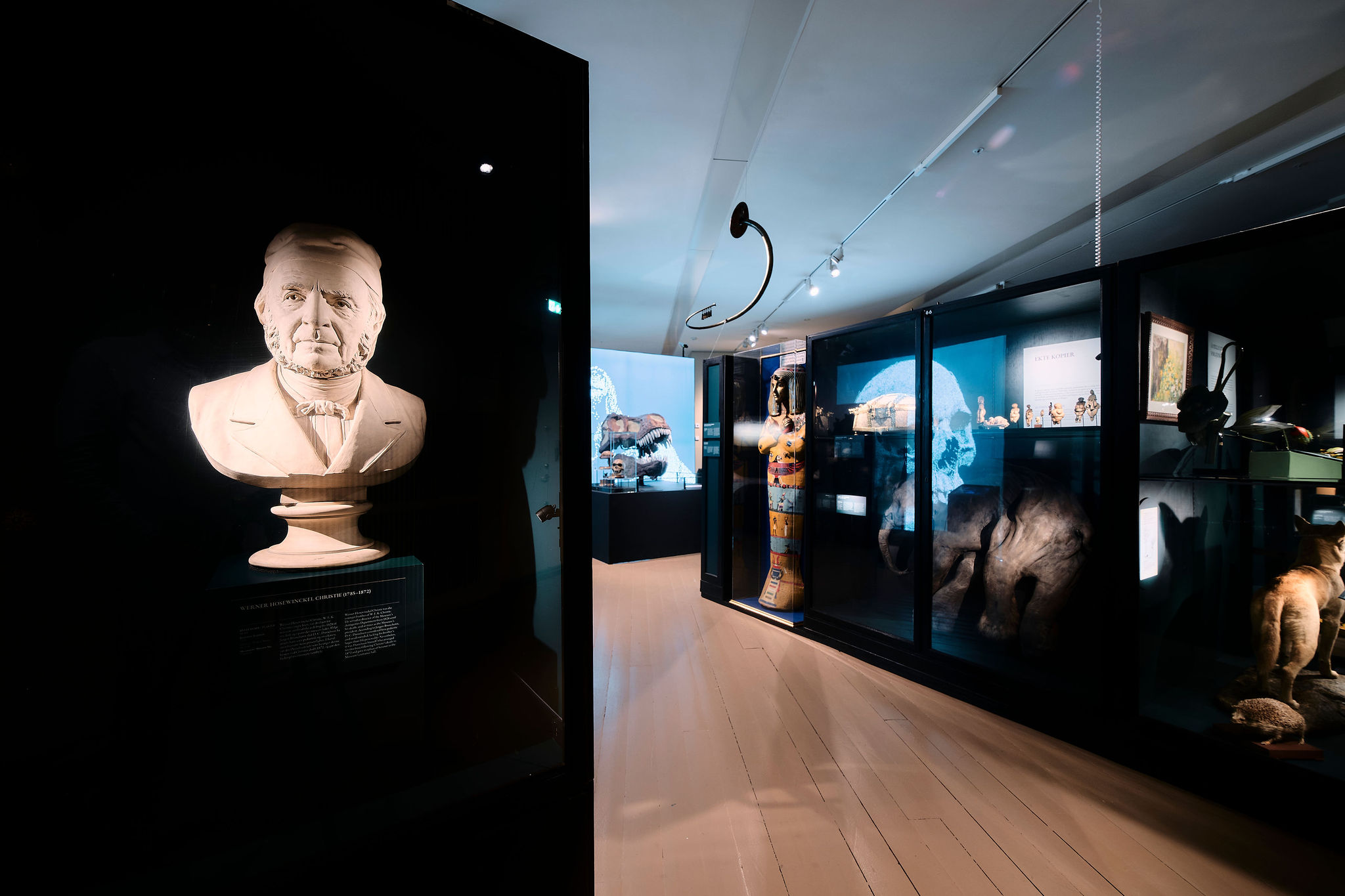 200 år Universitetsmuseet i Bergen – Torden og Lynild