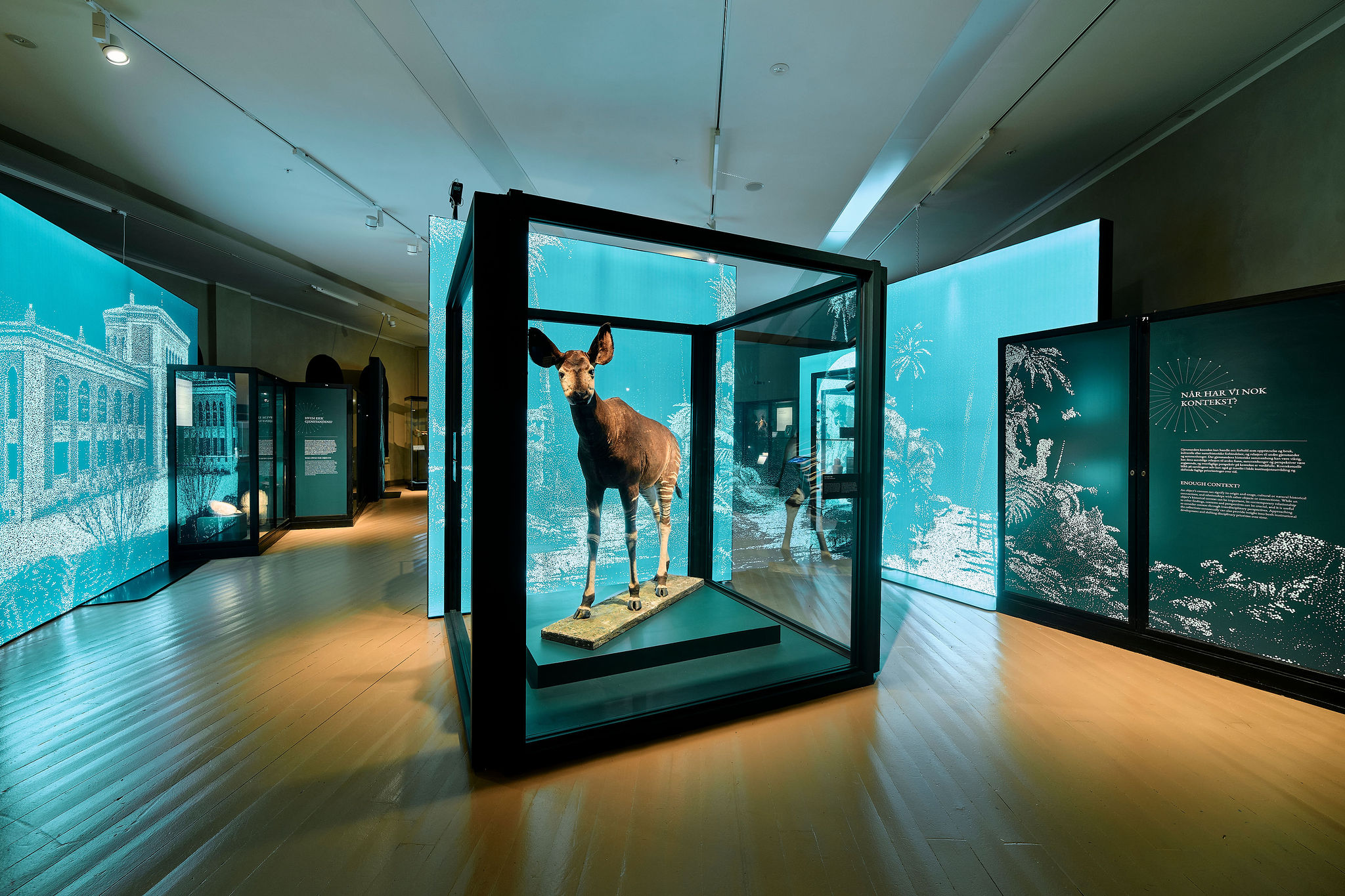 250526UniversitetsmuseetiBergen0131